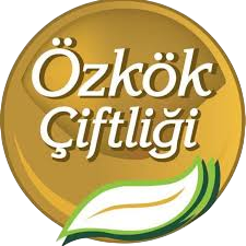 iKasa | GMP3 Entegrasyonu Olan Müşteriler